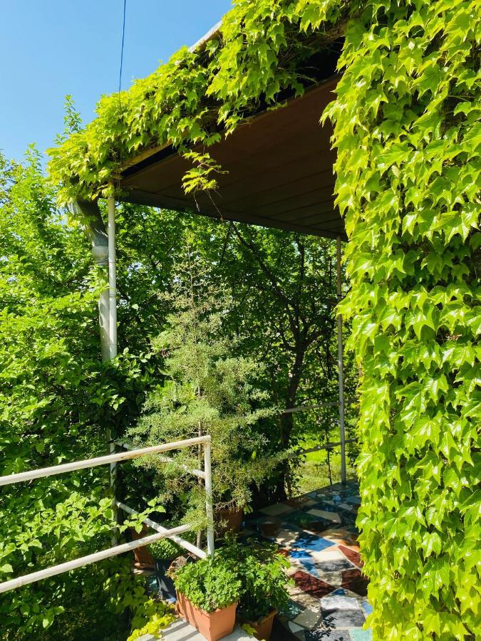 Green House Hotell Lagodekhi Eksteriør bilde